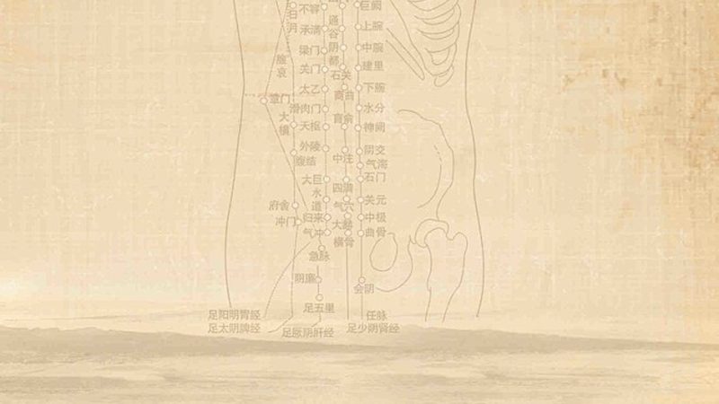 老年人治未病调理步骤